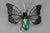 Mid-Century Modern Metal and Green Murano Glass Wall Lamp Butterfly, Italy, 1960s For Sale - Image 4 of 18