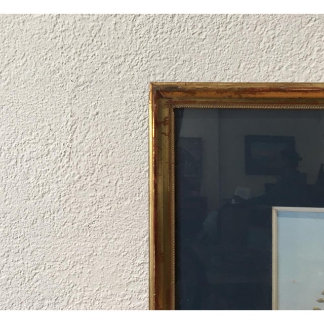 Yves Gianni, Corso dell'Imperatrice, Sanremo, Gouache on Paper, Framed For Sale - Image 6 of 9