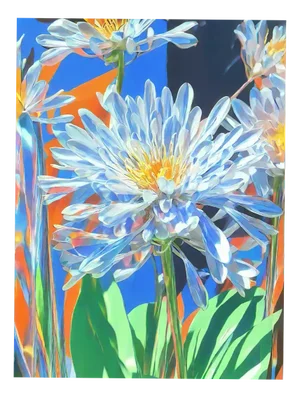 Ian Jones, Terrazzo Floras 5, Print