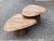 Wood Contemporary Mango Wood Coffee Tables For Sale - Image 7 of 11