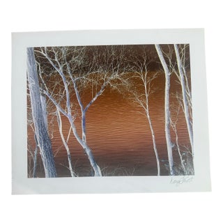 “Copper Dreams” Signed Original Giclee Print by Nancy Smith For Sale