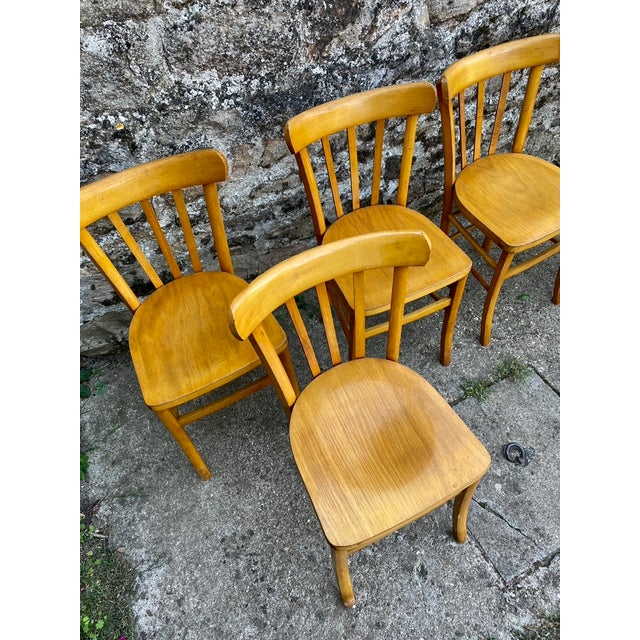 Set of six 1950s beechwood bistro chairs, stamped Luterma (except for one, as the seat has been reupholstered (see...