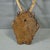 1930s Antique Black Forest Red Deer Trophy on Carved Plaque Ca. 1930s For Sale - Image 5 of 5