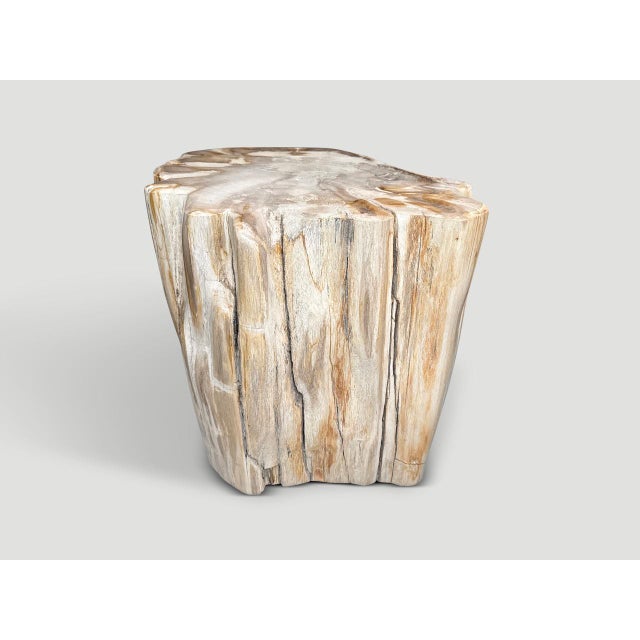 Contemporary Andrianna Shamaris Impressive High Quality Ancient Petrified Wood Side Table For Sale - Image 3 of 5