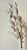 1960s Mid-Century Modern Brutalist Copper and Brass Tree Branch Wall Sculpture, Circa 1960s For Sale - Image 5 of 12