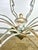 Metal Vincente Eight Light Wood & Iron Painted Chandelier by Miamar Home For Sale - Image 7 of 12