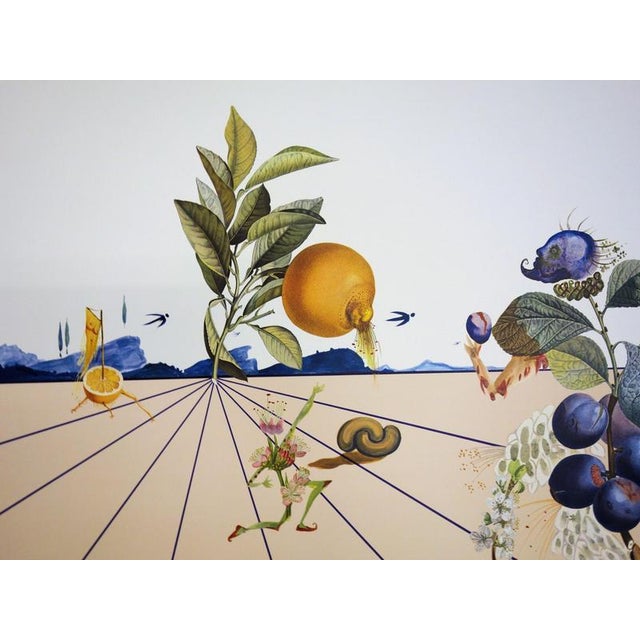 Salvador Dali, Flordali I, 1981, Lithograph For Sale - Image 7 of 8