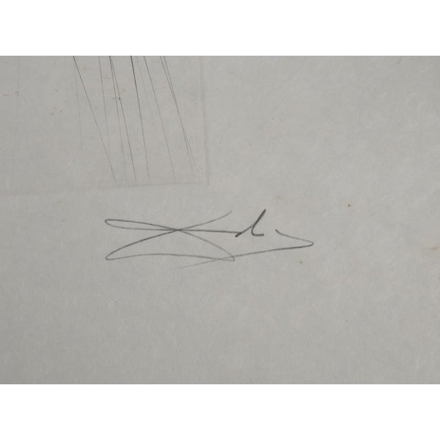 Salvador dali (1904-1989) the giant béliagog, 1970 original engraving (rigal workshop) signed in pencil numbered /75...