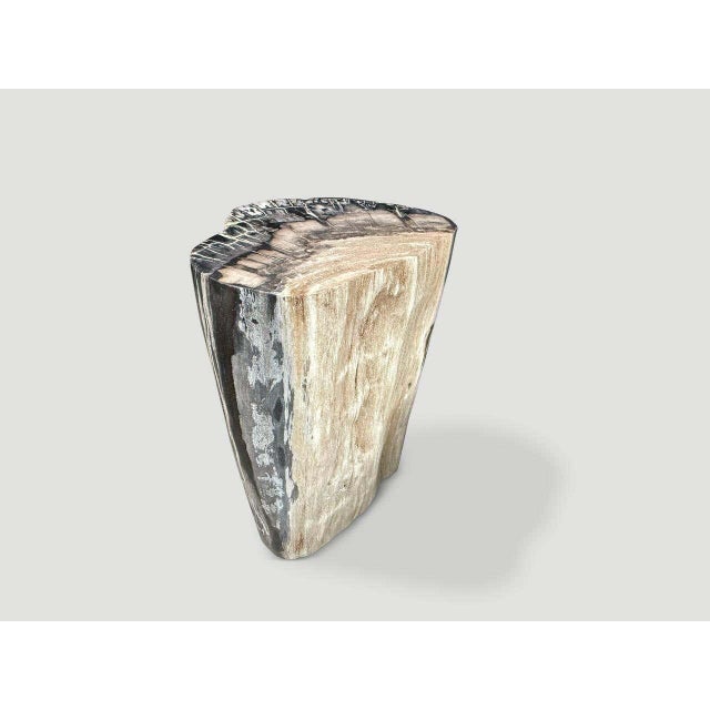 Andrianna Shamaris Minimalist Modern Organic Petrified Wood Side Table For Sale - Image 4 of 5