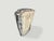 Andrianna Shamaris Minimalist Modern Organic Petrified Wood Side Table For Sale - Image 4 of 5