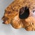 Mid Century Low Burl Wood Table, Japan, 1970s For Sale - Image 11 of 13