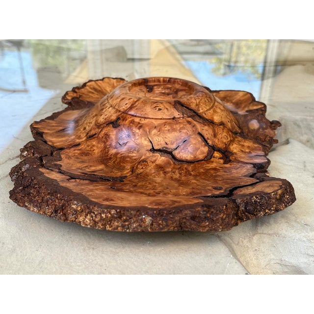 Organic Modern Hand-Turned Natural Edge Sugar Maple Burl Centerpiece Bowl - 12.5x9.5 Inches For Sale - Image 4 of 12