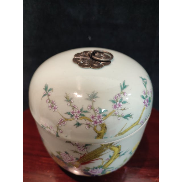 Chinese Ceramic Pot Qing Dynasty Tongzhi Marked Famille Rose Porcelain Tea Jar Hand Painted Flowers and Birds Pattern For Sale In Seattle - Image 6 of 11