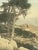 Vintage Framed Tinted Coastal Landscape Photograph of Cypress Trees on Rocky Shoreline. For Sale - Image 10 of 10