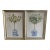 Fruit Tree Prints in Blue and White Jars For Sale