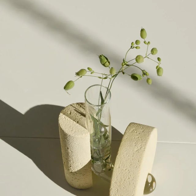 Clear Cochlea Della Metamorfosi 2 Vase by Coki Barbieri For Sale - Image 4 of 9