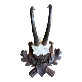Chamois Trophy 222 Goat Horns Blakc Forest Mount For Sale