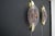 Large Disc-Shaped Wall Lights in Light Purple and Golden Murano Glass, 2000, Set of 2 For Sale - Image 9 of 16