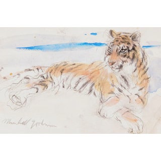Marshall Goodman, "Tiger", Realist Watercolor on Paper For Sale