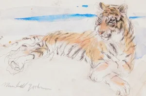 Marshall Goodman, "Tiger", Realist Watercolor on Paper