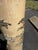 Early 20th Century Antique Wallpaper Roll Lamp For Sale - Image 5 of 5