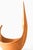 Sculptural Bowl in Pine attributed to Johnny Mattsson, 1950s For Sale - Image 6 of 7
