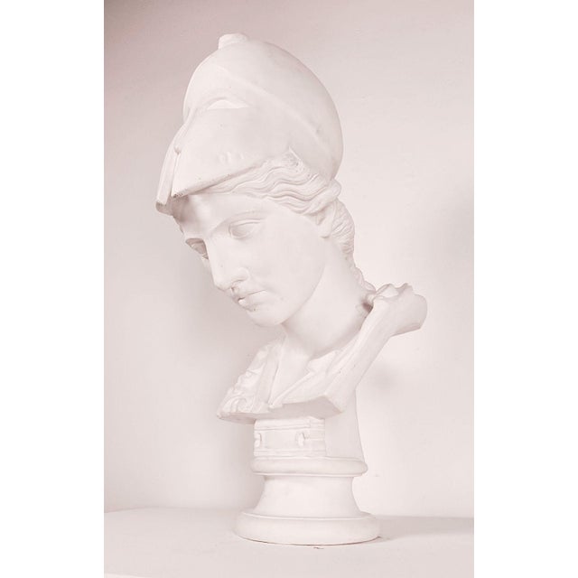 Plaster Bust of Athena by Caproni, u.s.a. Circa 1960 For Sale - Image 4 of 9