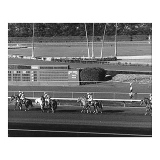 1971 Hollywood Park Horse Racetrack Photograph by Don Ware For Sale