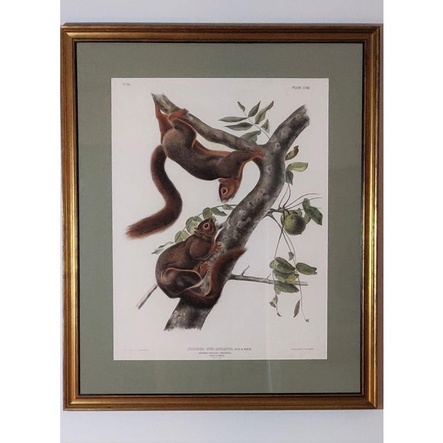 DESCRIPTION: John J. Audubon, The Viviparous Quadrupeds of North America, Bowen edition. This is John James Audubon’s last...