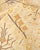Textile Mogul, One-of-a-Kind Hand-Knotted Area Rug in Ivory, 6' 1" x 8' 10" For Sale - Image 7 of 8