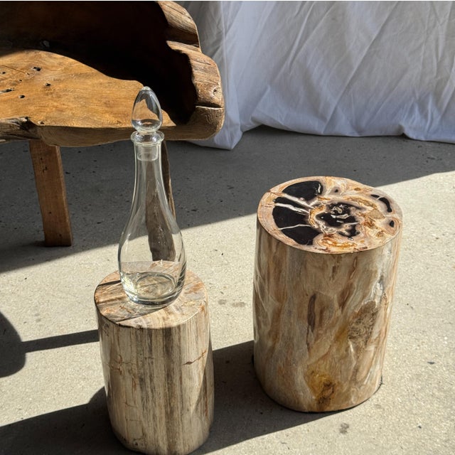 Petrified Wood Side Table For Sale - Image 10 of 18