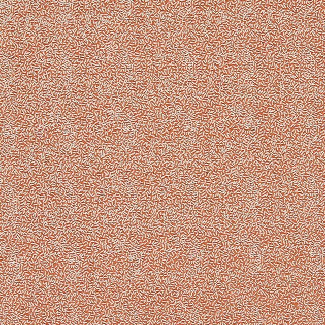 Harlequin Sow Fabric in Baked Terracotta/Soft Focus - a Sample For Sale