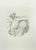 Figure of woman is an artwork, part of the series The Arts. Lithograph, 1980. cm. 70x50. Signed in the lower right margin....