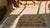 1930s Beige Rose Animal Folk Art Antique American Hooked Rug 10'0" X 13'9" Woven Wool Carpet For Sale - Image 11 of 12