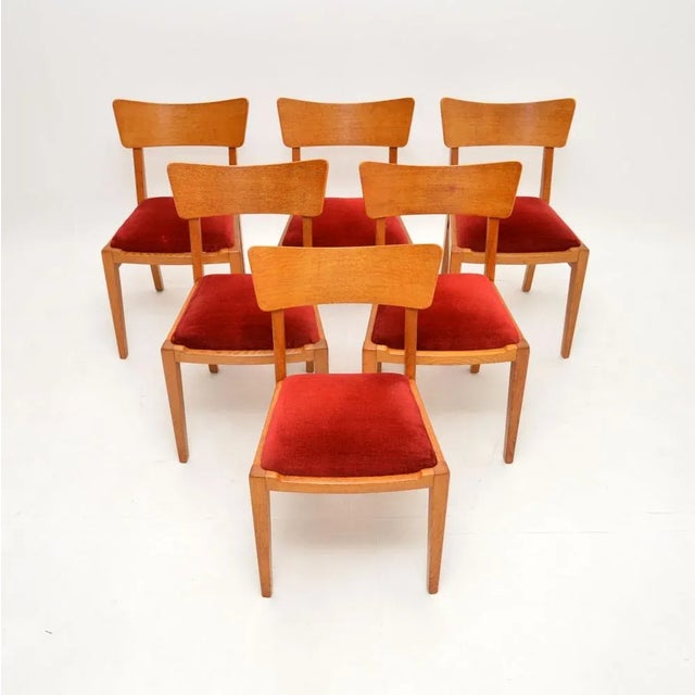 Vintage Oak Dining Chairs from G Plan, 1950, Set of 6 For Sale - Image 12 of 12