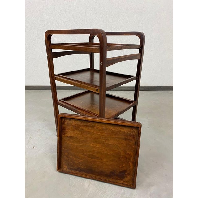 Brown Shelves from Thonet, 1930s, Set of 2 For Sale - Image 8 of 12