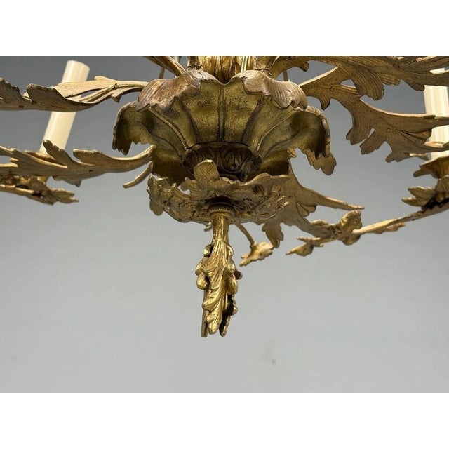Rococo Style, Leaf and Vine Chandelier, Dore Bronze, Italy, 1920s For Sale - Image 9 of 13