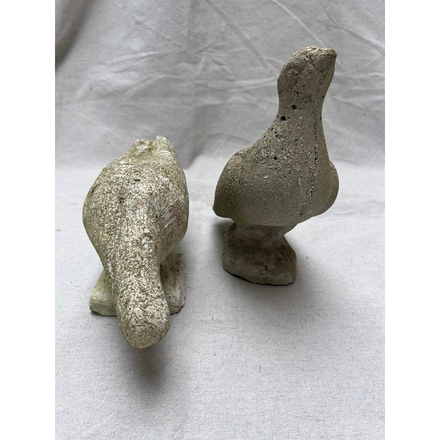A pair of antique cast stone or cement life size statues of doves or pigeons.