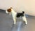 Mid-Century Modern Ceramic Airedale Terrier Figurine For Sale - Image 3 of 6