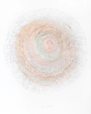 Alan Sonfist Lithograph - Tree Trunk Series