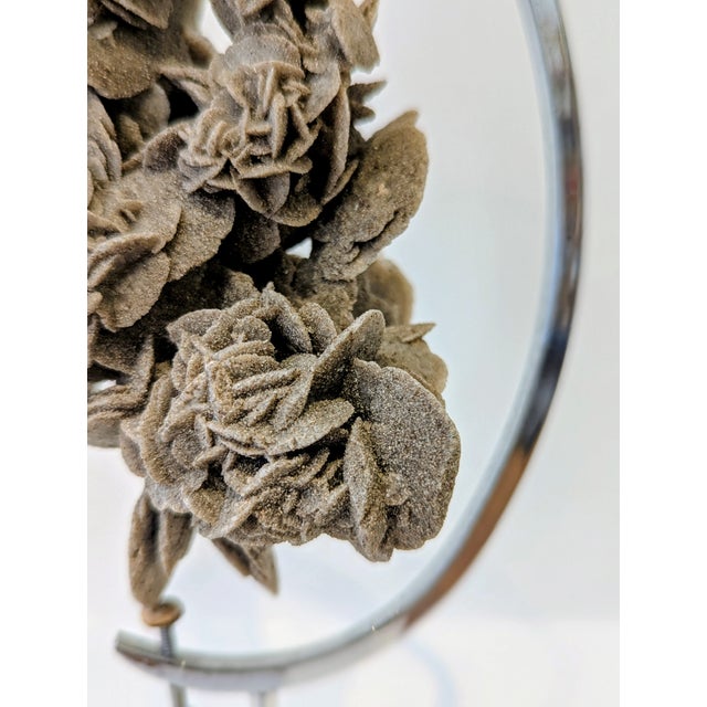 Mid-Century Modern Desert Rose Crystal Specimen on Chrome Stand, 1970s For Sale - Image 3 of 5