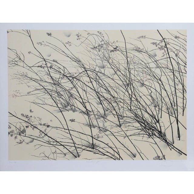 Windswept, Jon D'Orazio Lithograph For Sale