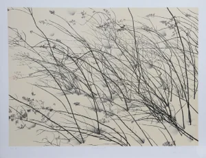Windswept, Jon D'Orazio Lithograph