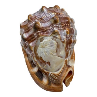 Antique Cameo-Carved Helmet Shell – Handcut Conch, Coastal & Nautical Decor For Sale