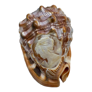 Antique Cameo-Carved Helmet Shell – Handcut Conch, Coastal & Nautical Decor