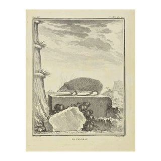 Jean Charles Baquoy, Le Tendrac, Etching, 1771 For Sale