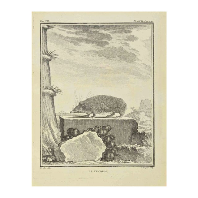 Jean Charles Baquoy, Le Tendrac, Etching, 1771 For Sale