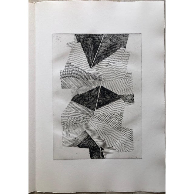 Abstract Jean Deyrolle, French Avant Garde Bold Abstract Geometric Aquatint Etching Op Art Kinetic For Sale - Image 3 of 9