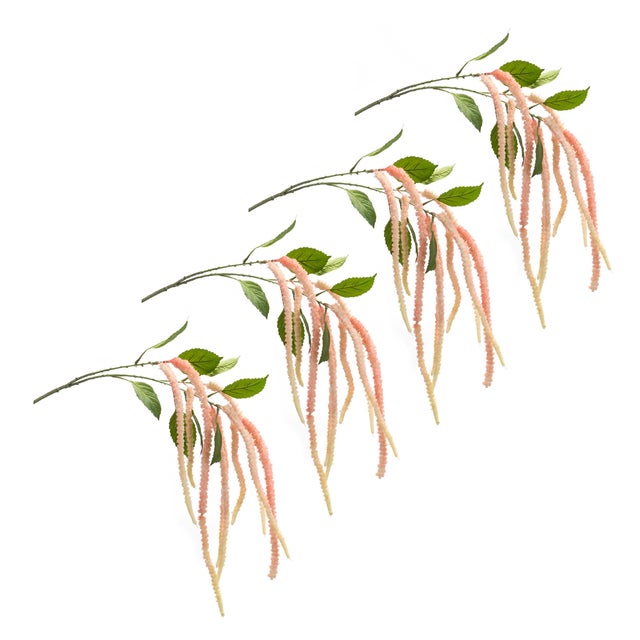 Rustic Amaranthus Floral Stem (Set of 4) For Sale - Image 3 of 3