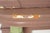 Colonial Revival Painted Wood Pilaster Mantel For Sale - Image 9 of 11